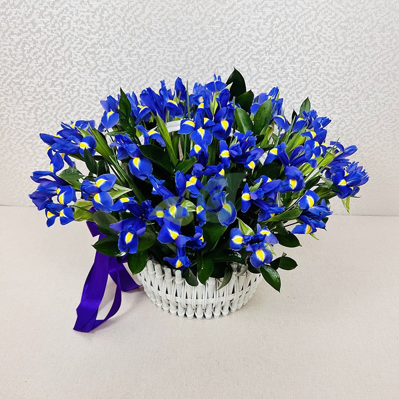 Синие ирисы в корзине